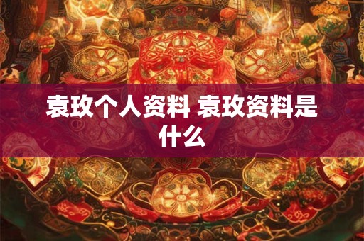 袁玫个人资料 袁玫资料是什么
