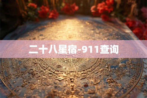 二十八星宿-911查询