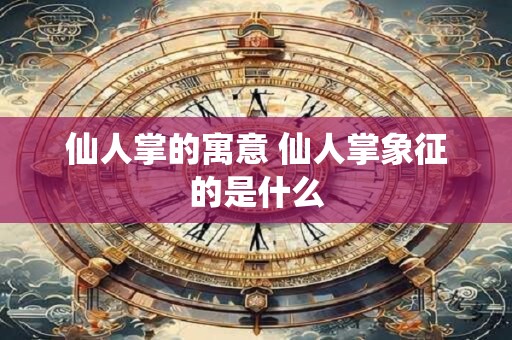 仙人掌的寓意 仙人掌象征的是什么
