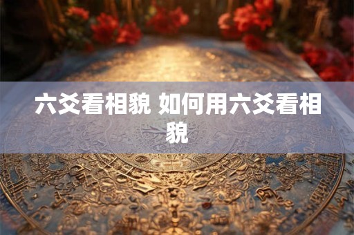 六爻看相貌 如何用六爻看相貌