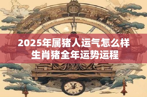 2025年属猪人运气怎么样 生肖猪全年运势运程