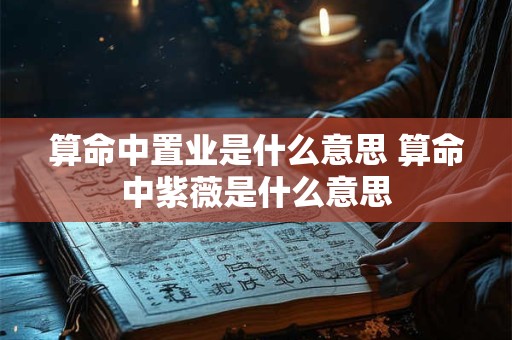 算命中置业是什么意思 算命中紫薇是什么意思
