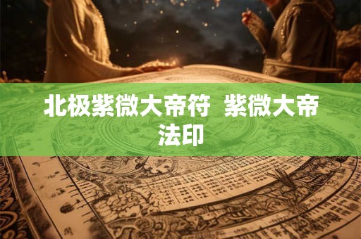 北极紫微大帝符  紫微大帝法印