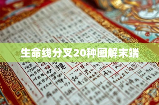 生命线分叉20种图解末端