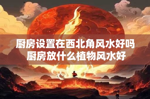 厨房设置在西北角风水好吗 厨房放什么植物风水好