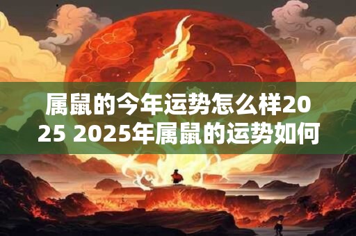 属鼠的今年运势怎么样2025 2025年属鼠的运势如何