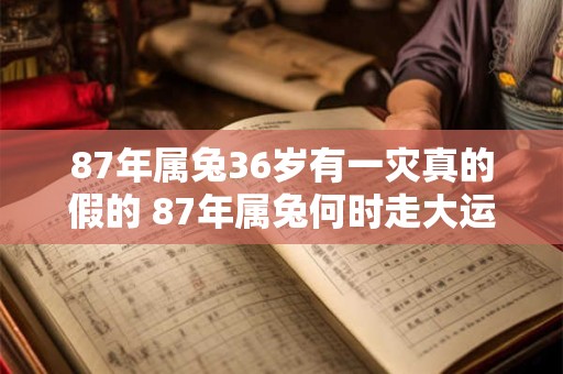 87年属兔36岁有一灾真的假的 87年属兔何时走大运