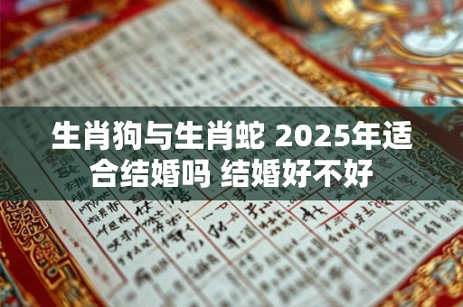 生肖狗与生肖蛇 2026年适合结婚吗 结婚好不好