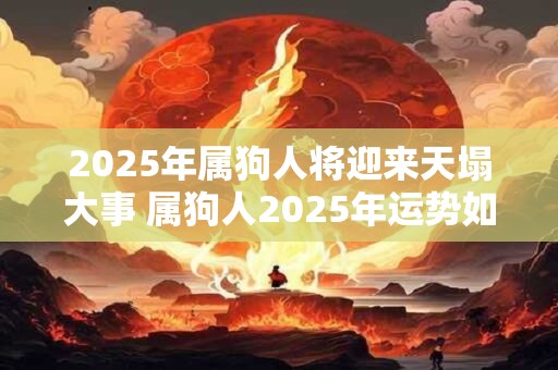 2025年属狗人将迎来天塌大事 属狗人2025年运势如何