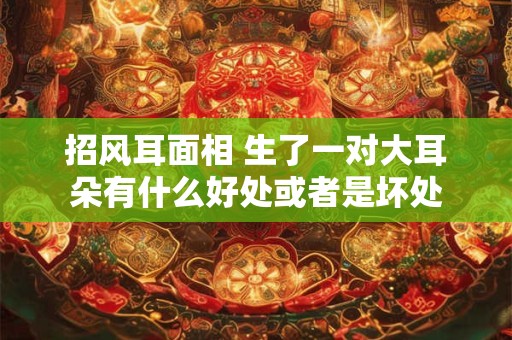 招风耳面相 生了一对大耳朵有什么好处或者是坏处