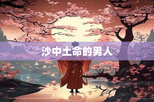 沙中土命的男人