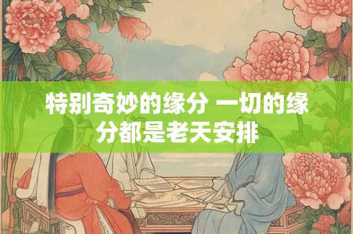 特别奇妙的缘分 一切的缘分都是老天安排 特别奇妙的缘分 一切的缘分都是老天安排