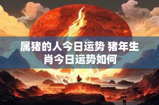 属猪的人今日运势 猪年生肖今日运势如何
