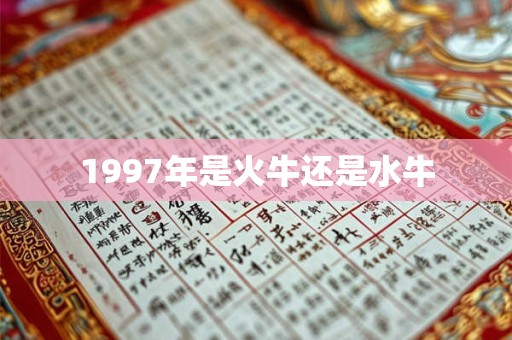 1997年是火牛还是水牛