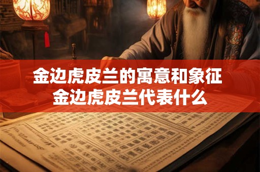 金边虎皮兰的寓意和象征 金边虎皮兰代表什么