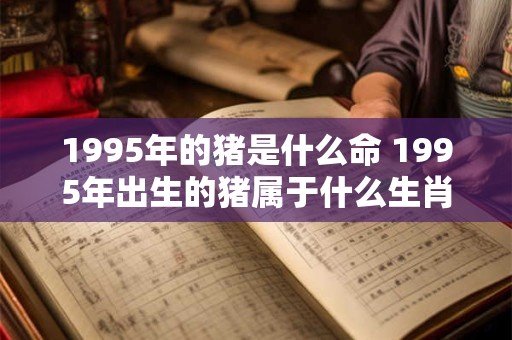 1995年的猪是什么命 1995年出生的猪属于什么生肖