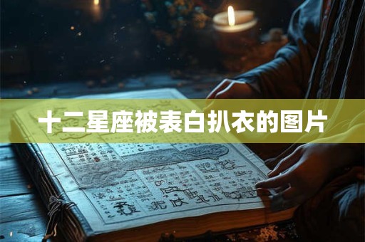 十二星座被表白扒衣的图片