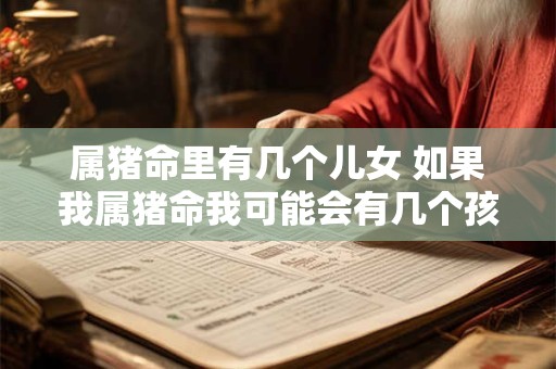 属猪命里有几个儿女 如果我属猪命我可能会有几个孩子