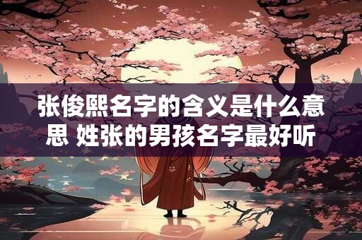 张俊熙名字的含义是什么意思 姓张的男孩名字最好听