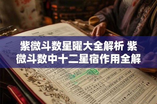 紫微斗数星曜大全解析 紫微斗数中十二星宿作用全解析