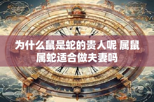 为什么鼠是蛇的贵人呢 属鼠属蛇适合做夫妻吗