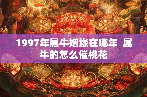 1997年属牛姻缘在哪年  属牛的怎么催桃花