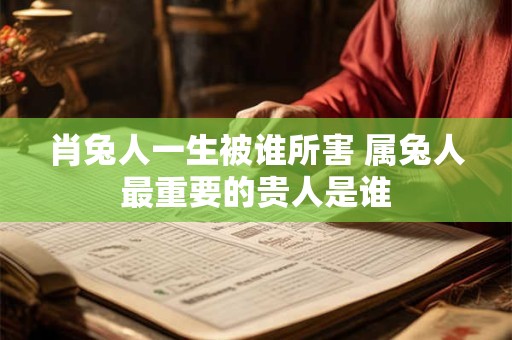 肖兔人一生被谁所害 属兔人最重要的贵人是谁