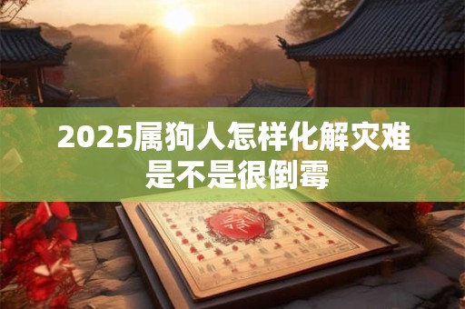 2025属狗人怎样化解灾难 是不是很倒霉