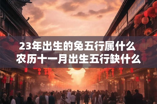 23年出生的兔五行属什么 农历十一月出生五行缺什么