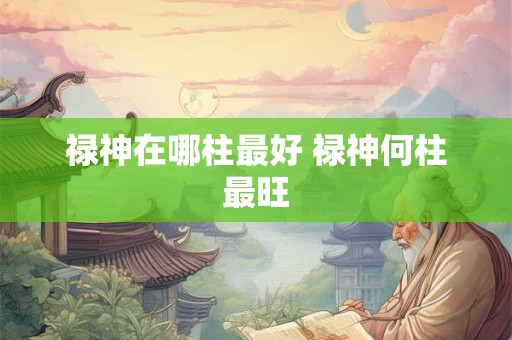 禄神在哪柱最好 禄神何柱最旺