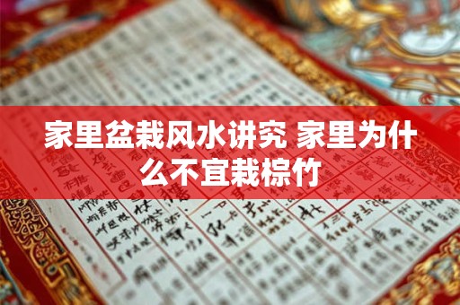 家里盆栽风水讲究 家里为什么不宜栽棕竹