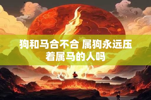 狗和马合不合 属狗永远压着属马的人吗