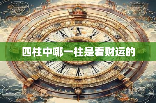 四柱中哪一柱是看财运的