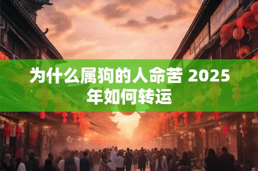 为什么属狗的人命苦 2025年如何转运