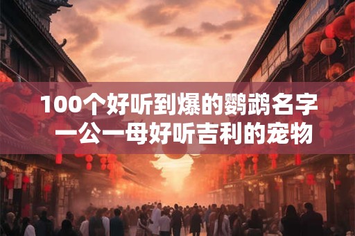 100个好听到爆的鹦鹉名字 一公一母好听吉利的宠物名字 100个好听到爆的鹦鹉名字 一公一母好听吉利的宠物名字