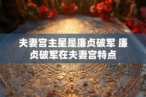 夫妻宫主星是廉贞破军 廉贞破军在夫妻宫特点