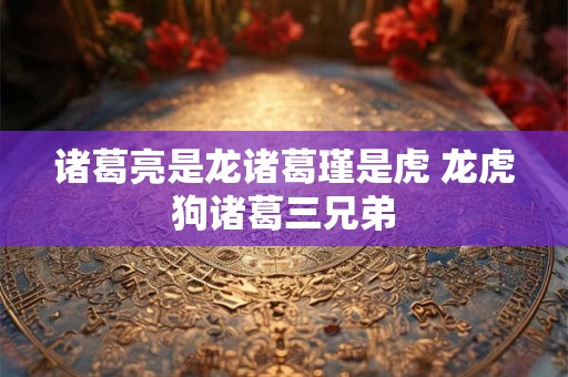 诸葛亮是龙诸葛瑾是虎 龙虎狗诸葛三兄弟