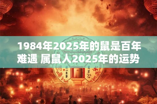 1984年2025年的鼠是百年难遇 属鼠人2025年的运势 1984年2025年的鼠是百年难遇 属鼠人2025年的运势