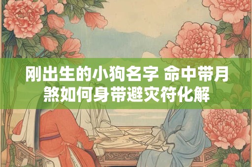 刚出生的小狗名字 命中带月煞如何身带避灾符化解