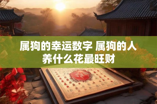 属狗的幸运数字 属狗的人养什么花最旺财