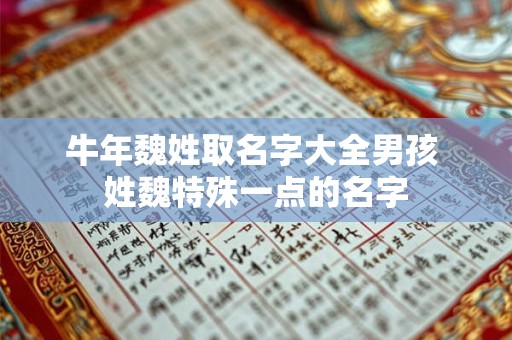 牛年魏姓取名字大全男孩 姓魏特殊一点的名字