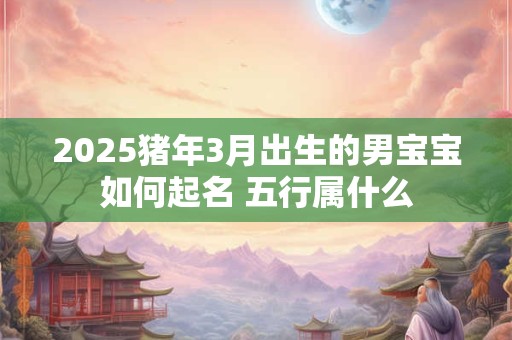 2025猪年3月出生的男宝宝如何起名 五行属什么