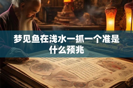 梦见鱼在浅水一抓一个准是什么预兆