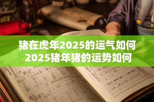 猪在虎年2025的运气如何 2025猪年猪的运势如何