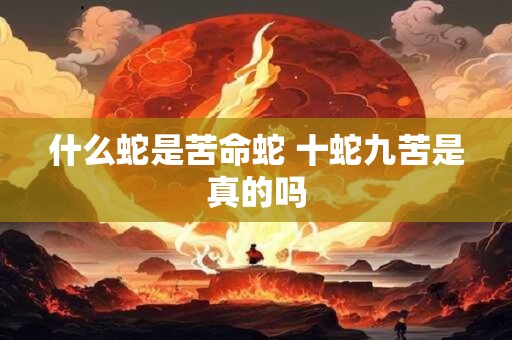 什么蛇是苦命蛇 十蛇九苦是真的吗