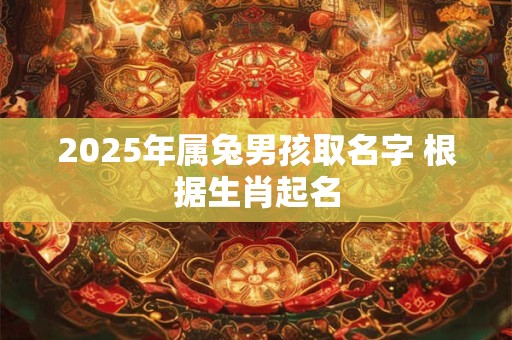 2025年属兔男孩取名字 根据生肖起名