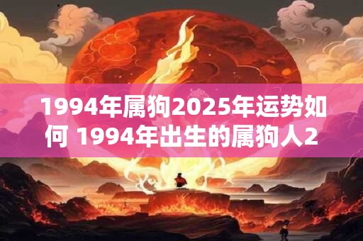 1994年属狗2025年运势如何 1994年出生的属狗人2025年的运势如何 1994年属狗2025年运势如何 1994年出生的属狗人2025年的运势如何