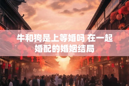牛和狗是上等婚吗 在一起婚配的婚姻结局