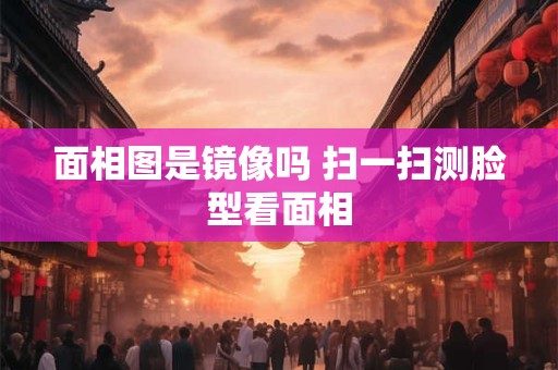 面相图是镜像吗 扫一扫测脸型看面相 面相图是镜像吗 扫一扫测脸型看面相