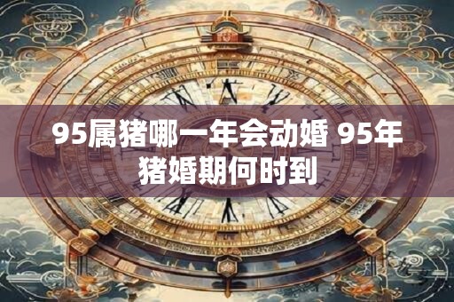95属猪哪一年会动婚 95年猪婚期何时到